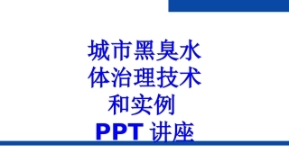 城市黑臭水体治理技术和实例教育课件