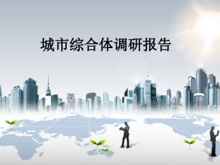 城市综合体调研报告