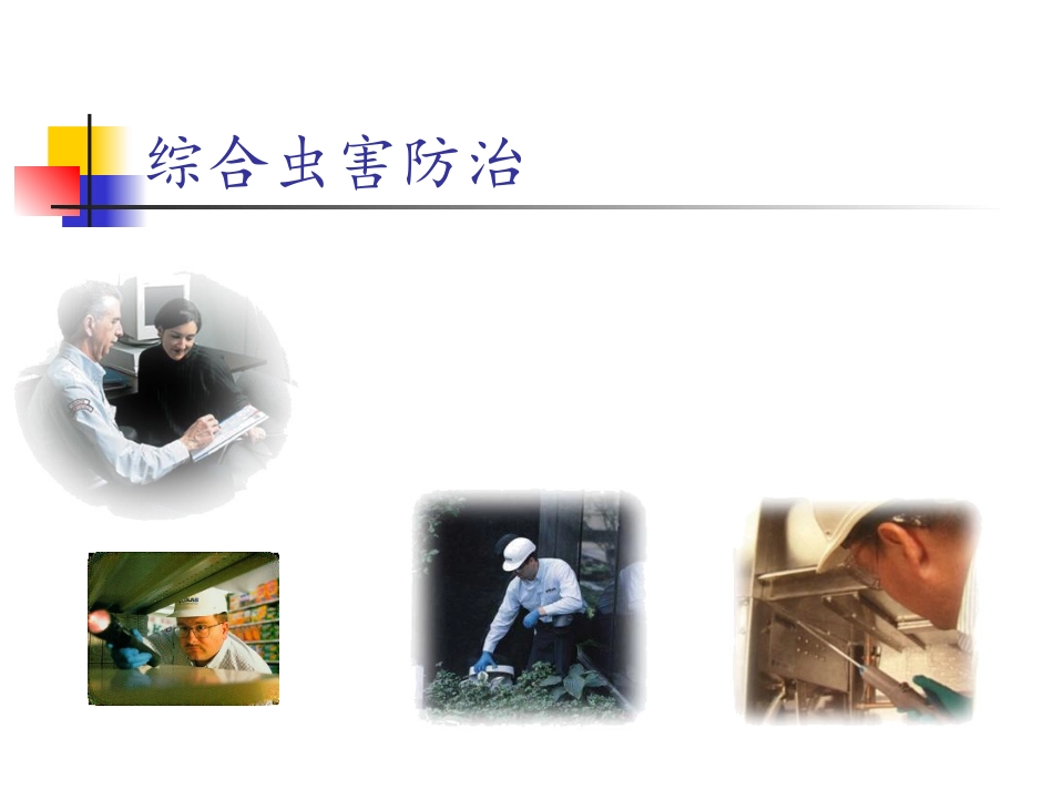 虫害控制培训资料_第1页