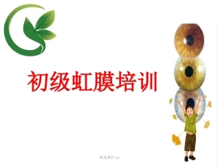 初级虹膜培训课件