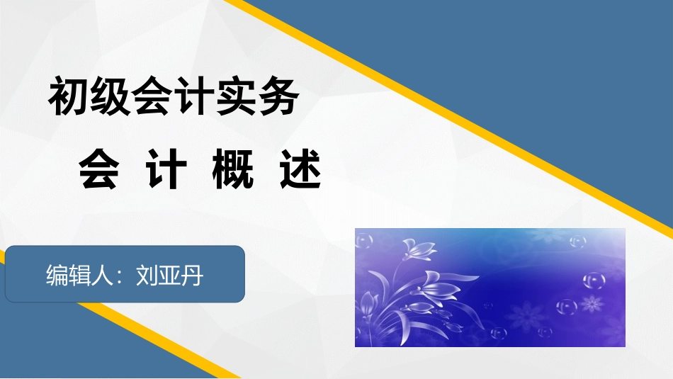 初级会计实务会计概述_第1页