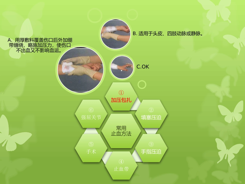 初级急救员培训学习资料_第3页