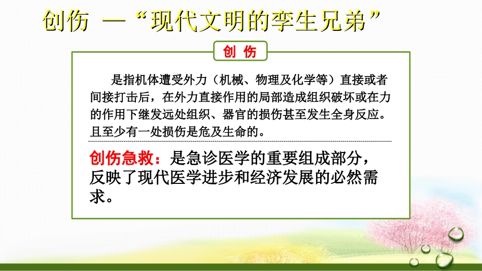 创伤的急救护理_第2页