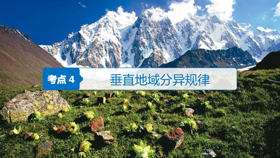 垂直地带性分异规律_第1页