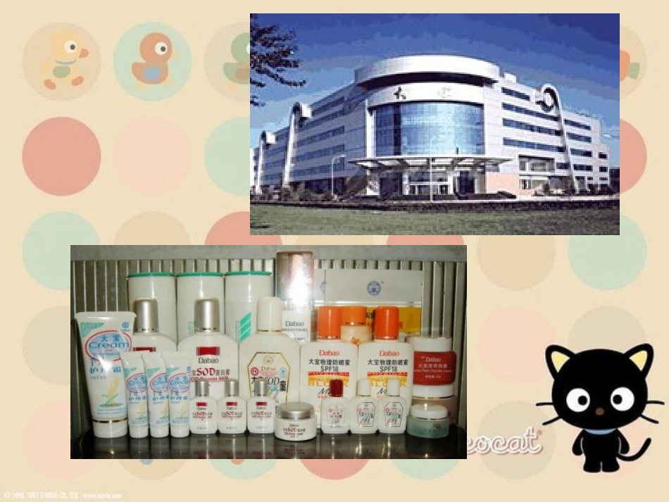 大宝实施ERP案例分析_第3页