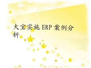 大宝实施ERP案例分析