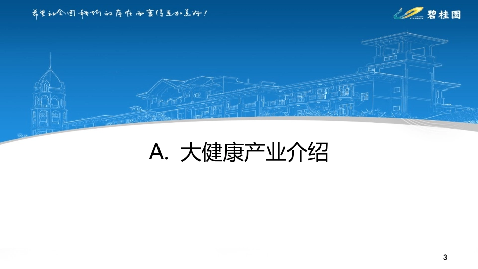 大健康产业宏观报告养老产业医疗服务精准医疗健康管理医药工业_第3页