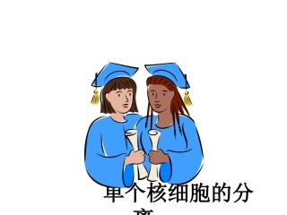 单个核细胞分离