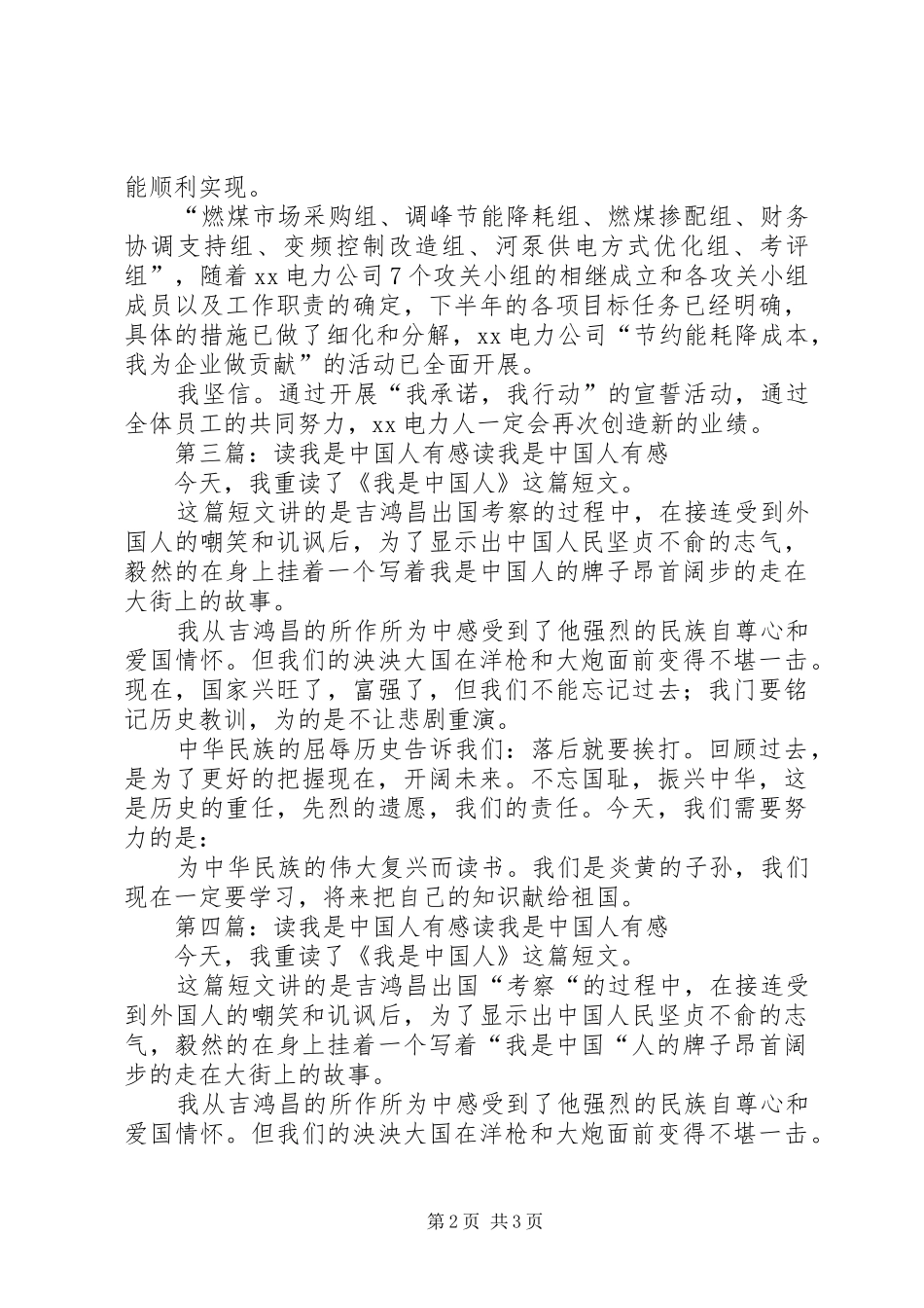 电力人参加我承诺我行动宣誓活动有感_第2页