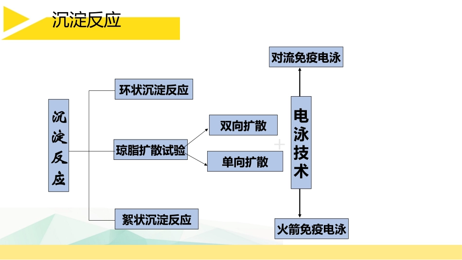 单向双向免疫琼脂扩散_第3页