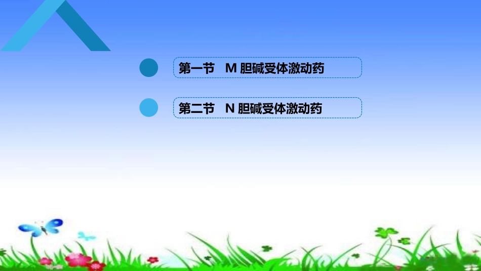 胆碱受体激动药_第1页