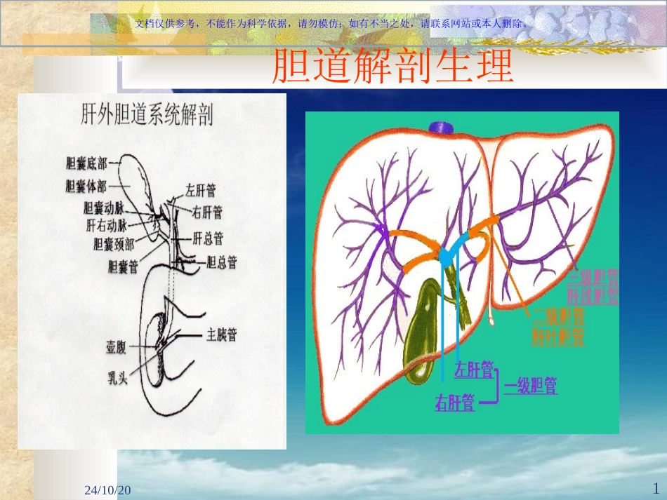 胆囊结石伴胆囊炎课件_第1页