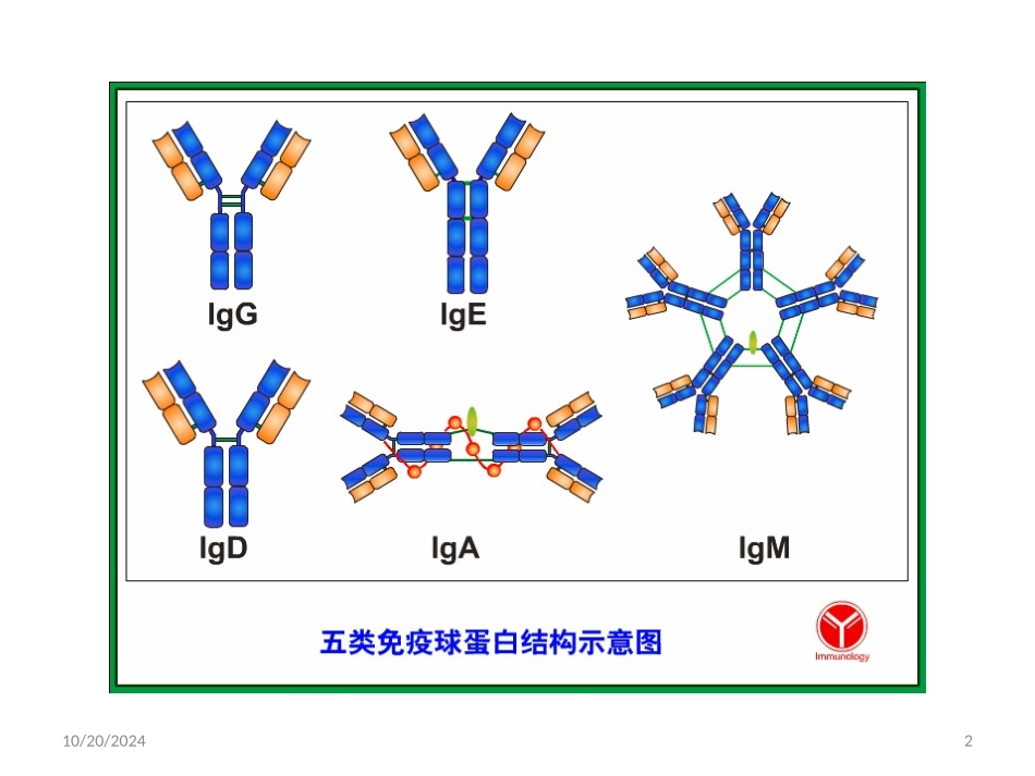 蛋白电泳轻链病_第2页