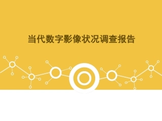 当代数字影像状况调查报告