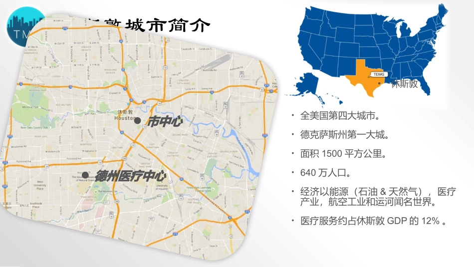德州医疗中心调查报告_第2页