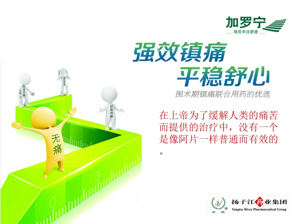 地佐辛注射液使用指南_第1页