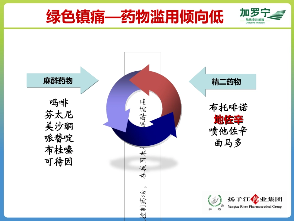 地佐辛注射液使用指南_第3页