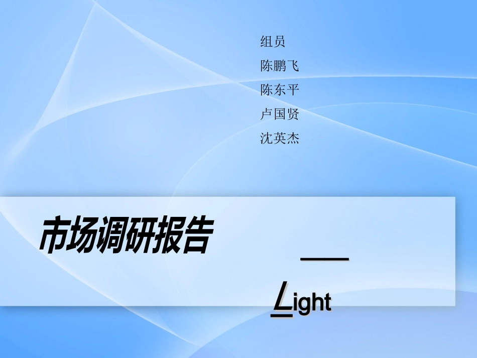 灯具市场调查报告_第1页