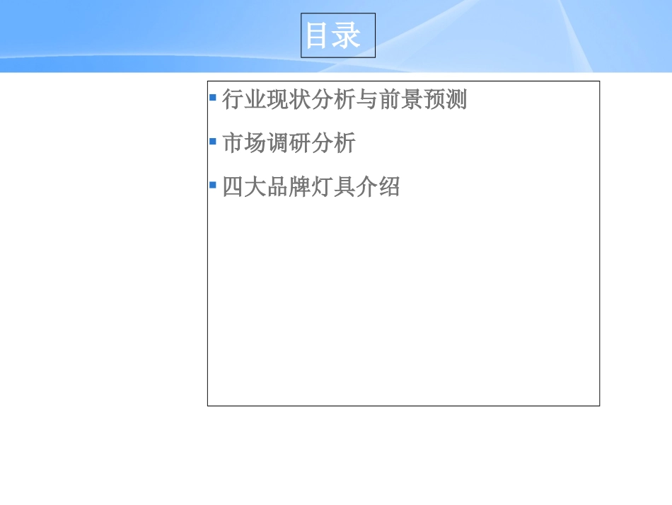 灯具市场调查报告_第2页