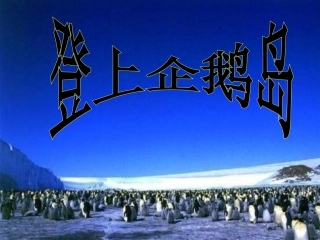 登上企鹅岛课件