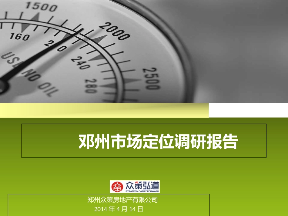 邓州市项目市场调查报告_第1页