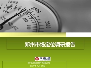 邓州市项目市场调查报告