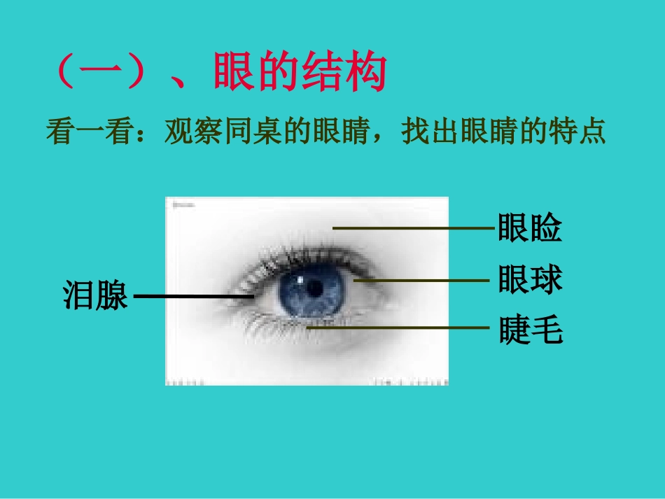 第2感受器和感觉器官_第3页