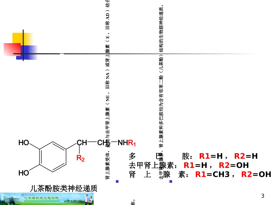 第12篇-作用于肾上腺素能受体药物_第3页