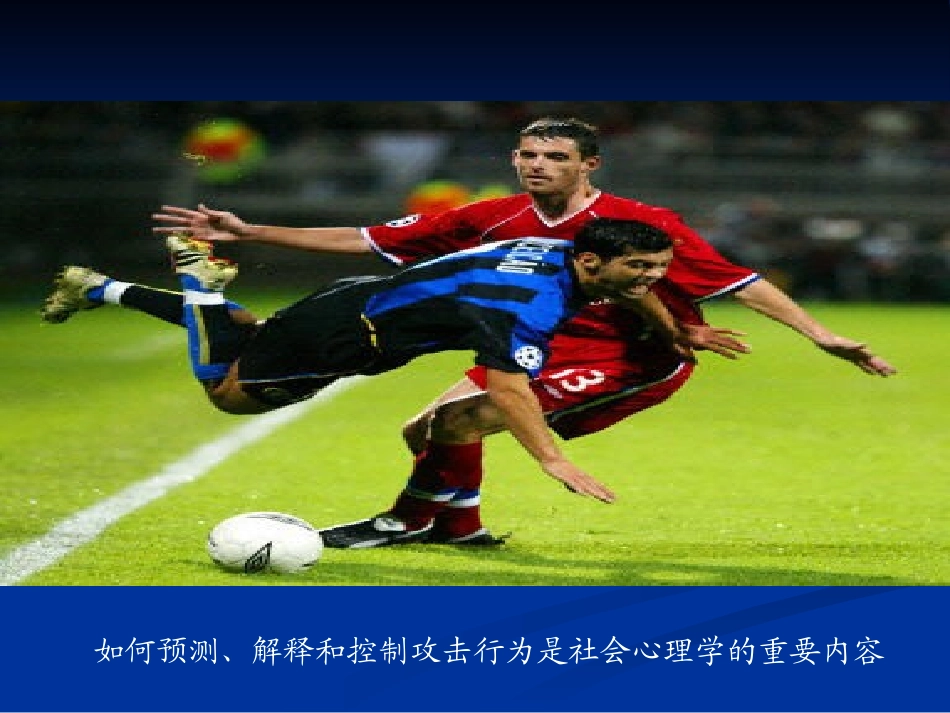 第14章_运动中的攻击行为_第2页