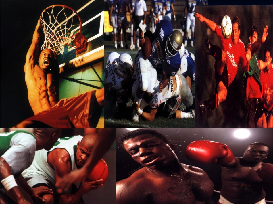 第14章_运动中的攻击行为_第3页