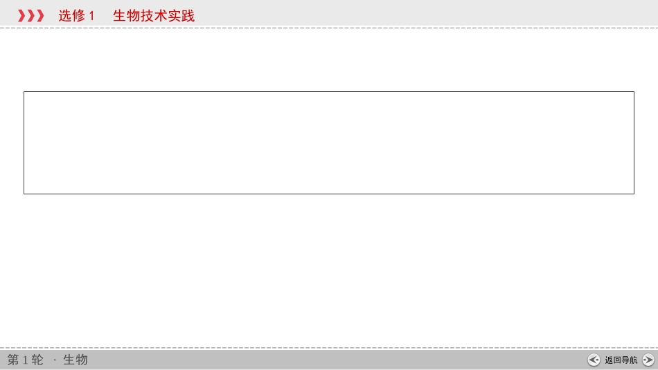 第36讲PCR一轮复习_第2页
