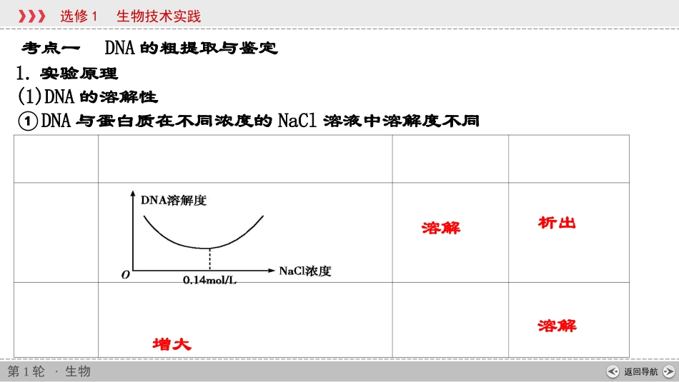 第36讲PCR一轮复习_第3页