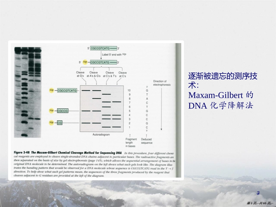 第二代测序数据分析原理_第3页