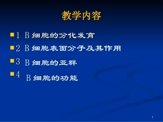 第九章B淋巴细胞