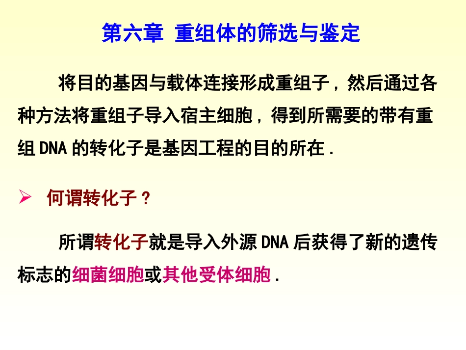 第六章重组体的筛选与鉴定总结_第1页