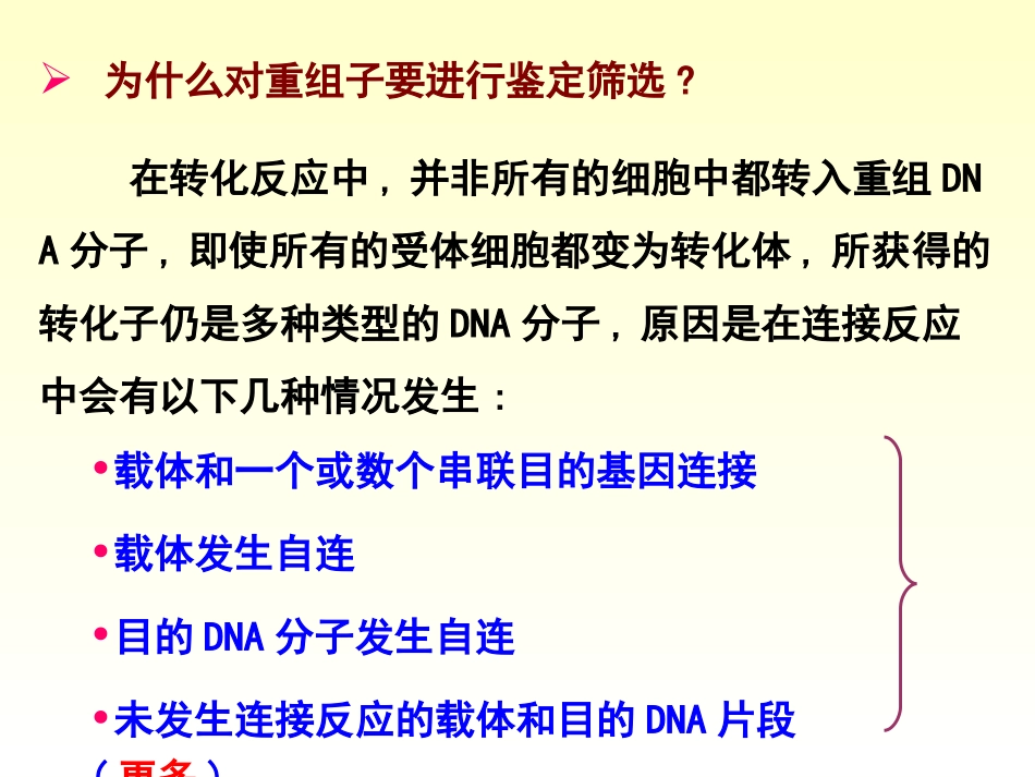 第六章重组体的筛选与鉴定总结_第2页