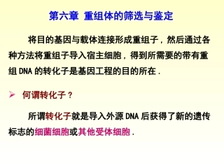 第六章重组体的筛选与鉴定总结