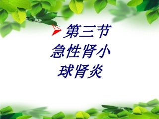 第三节急性肾小球肾炎优质课件