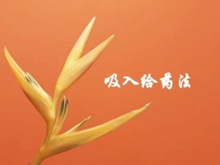 第三节吸入疗法