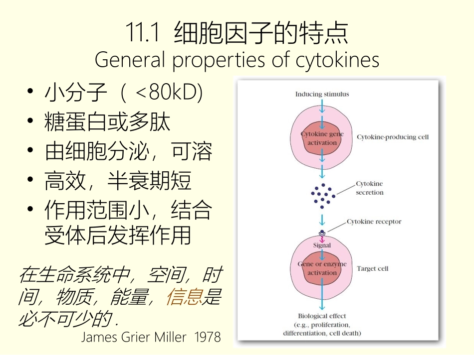 第十二讲细胞因子下_第3页