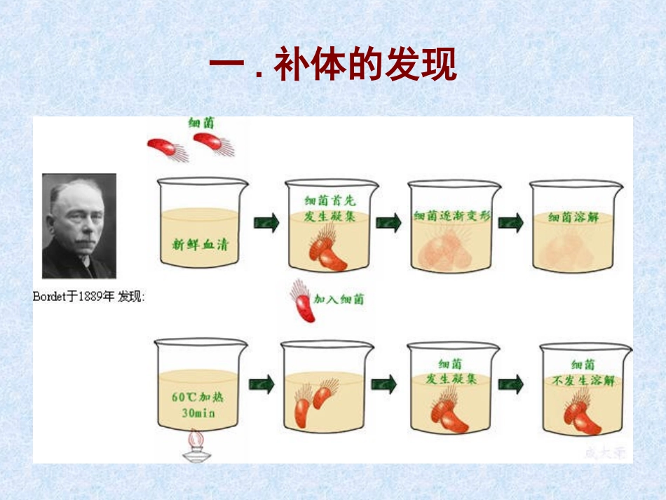 第十五章补体系统_第3页