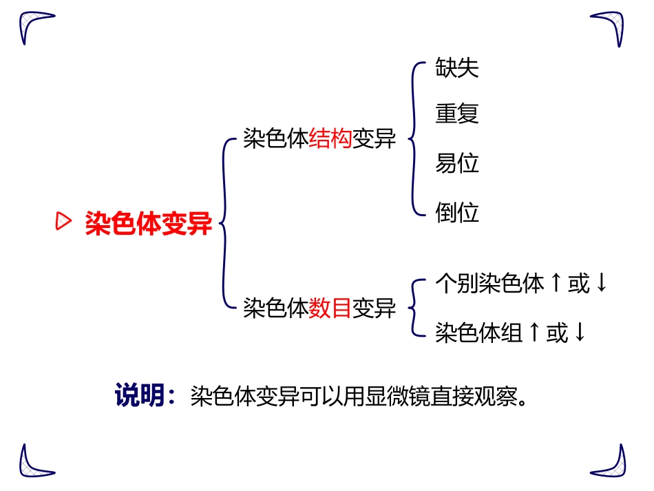 第五章第二节染色体变异_第2页