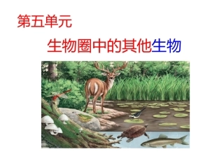 第一节腔肠动物和扁形动物