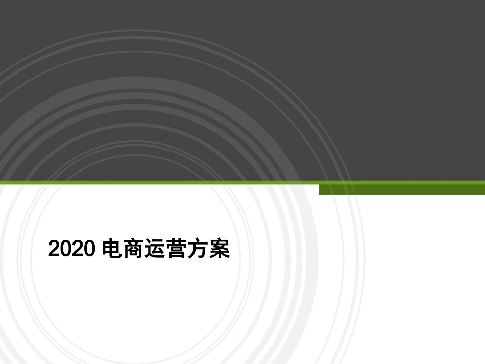 电商运营方案_第1页