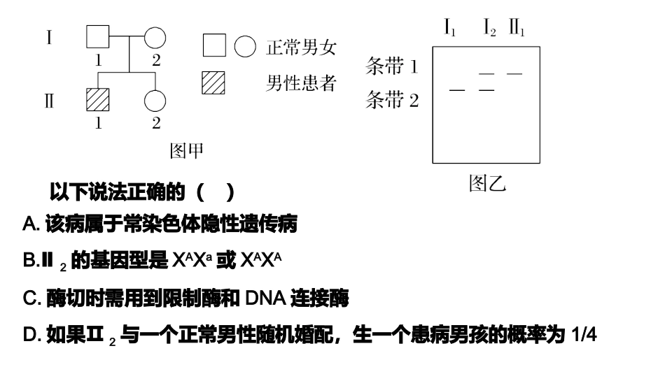电泳图谱与遗传系谱图_第2页