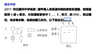 电泳图谱与遗传系谱图