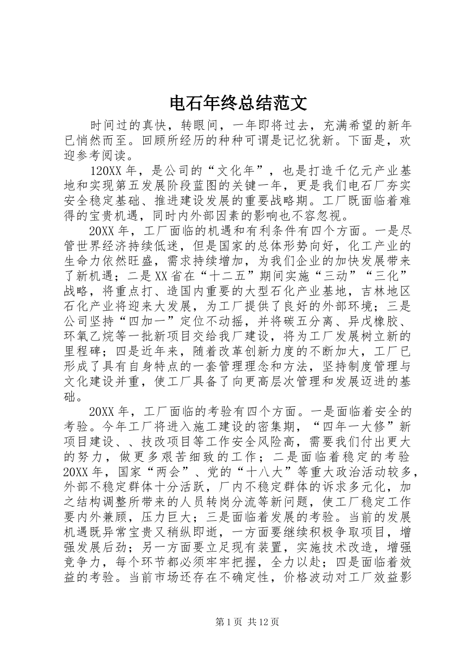 电石年终总结范文_第1页