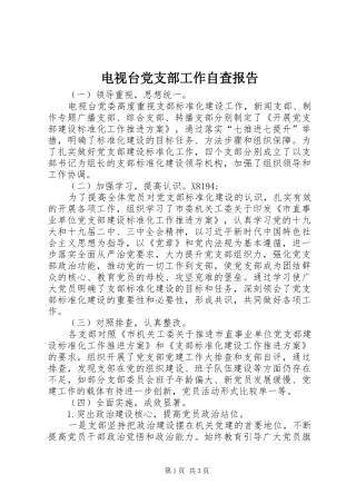 电视台党支部工作自查报告