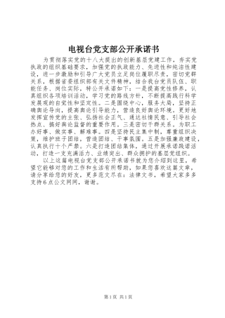 电视台党支部公开承诺书