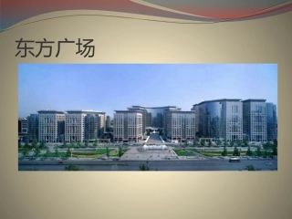 东方广场调研报告